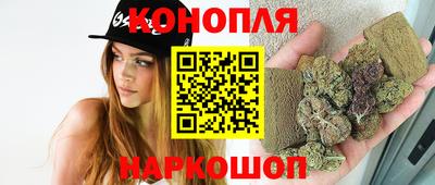 a pvp Можга