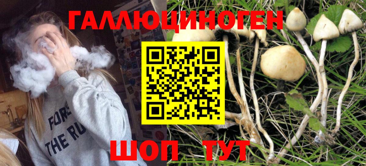 Усолье-Сибирское  Псилоцибиновые грибы Cubensis  Вход с VPN 