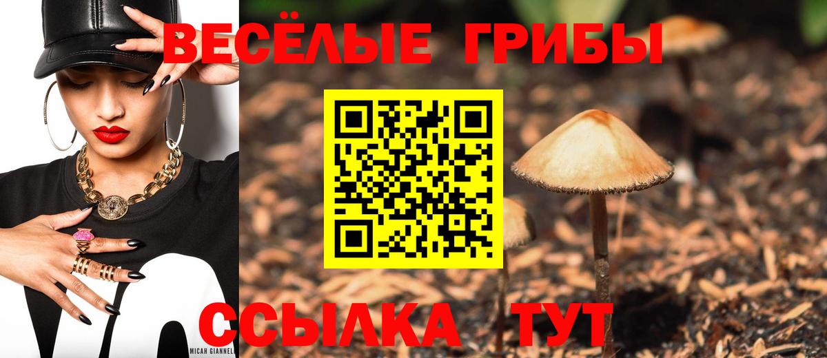 Галлюциногенные грибы мицелий Усолье-Сибирское